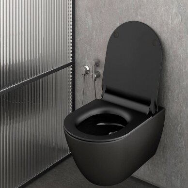 Bebriaunis WC PURA Compact Color 50x36 Swirlflush® Dualglaze® su Soft Close dangčiu, GSI (įvairių spalvų) 3