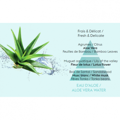 Kvapas automobiliui Aloe Vera Water, Maison Berger (papildymas)