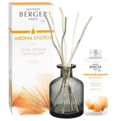 Kvapų indas su pagaliukais GREY AROMA + kvapas Aroma Energy 180ml, Maison Berger 2