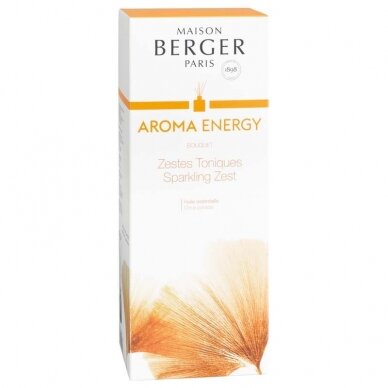 Ароматический контейнер с палочками GREY AROMA + аромат Aroma Energy 180 мл, Maison Berger 3