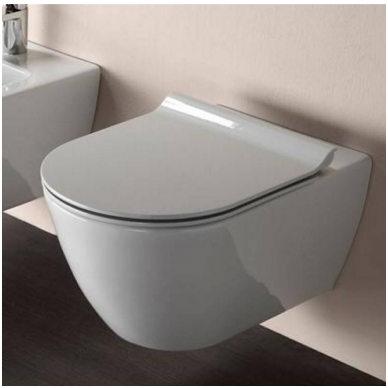 Bebriaunis WC PURA 55x36 Swirlflush® Extraglaze®, pakabinamas su Soft Close dangčiu, GSI