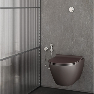 Bebriaunis WC PURA Color 55x36 Bistro Swirlflush® Dualglaze® su Soft Close dangčiu, GSI